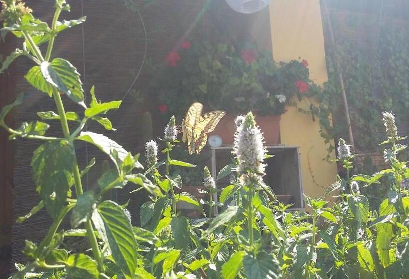 ویلای استاندارد با چشمانداز باغ, Casa Di Campagna Dal Pozzo