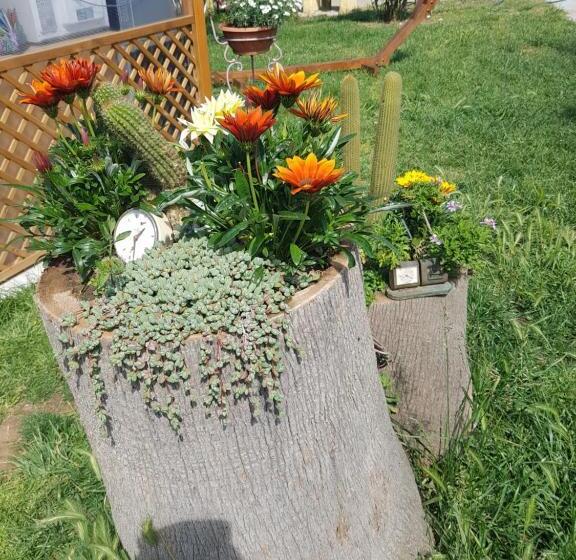 اتاق خانوادگی, Casa Di Campagna Dal Pozzo