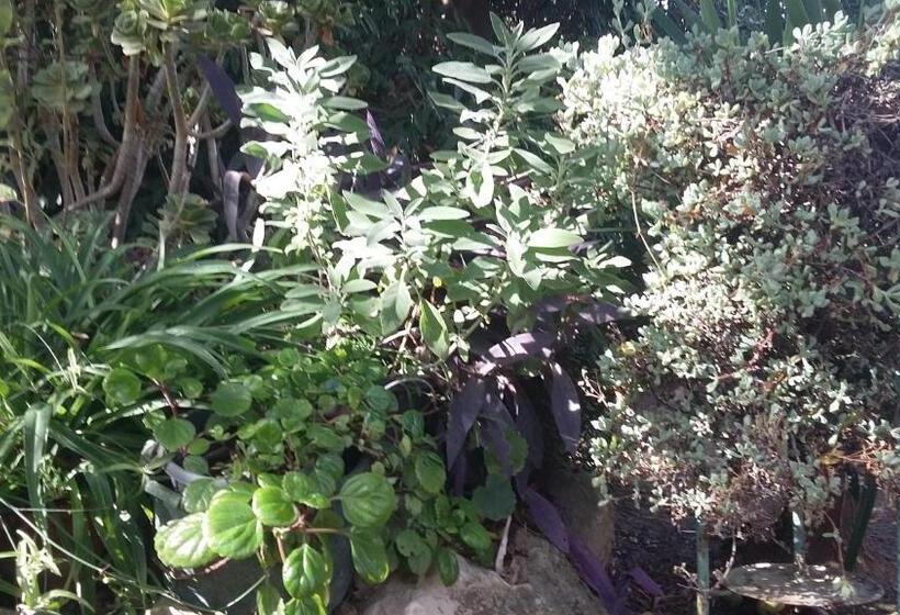 ویلای استاندارد با چشمانداز باغ, Casa Di Campagna Dal Pozzo