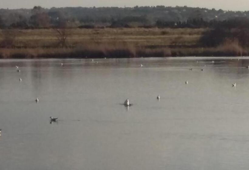 ویلای استاندارد با چشمانداز باغ, Casa Di Campagna Dal Pozzo