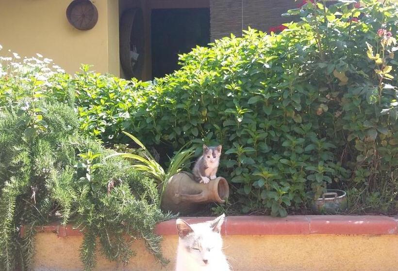 패밀리 룸, Casa Di Campagna Dal Pozzo