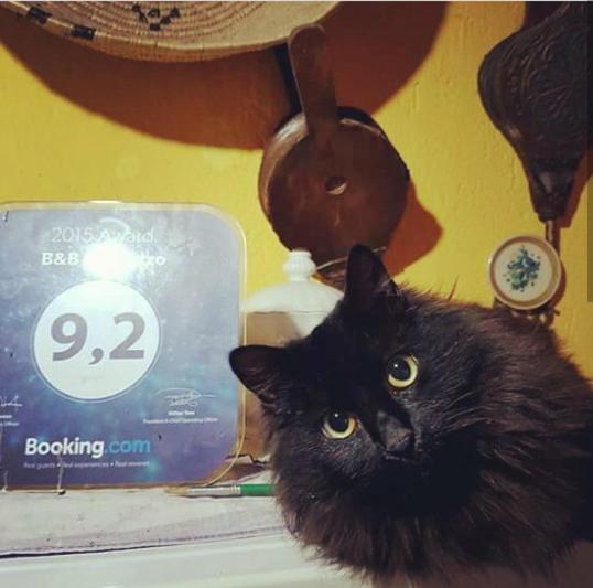 ویلای استاندارد با چشمانداز باغ, Casa Di Campagna Dal Pozzo