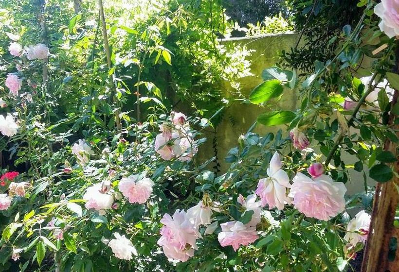 ویلای استاندارد با چشمانداز باغ, Casa Di Campagna Dal Pozzo