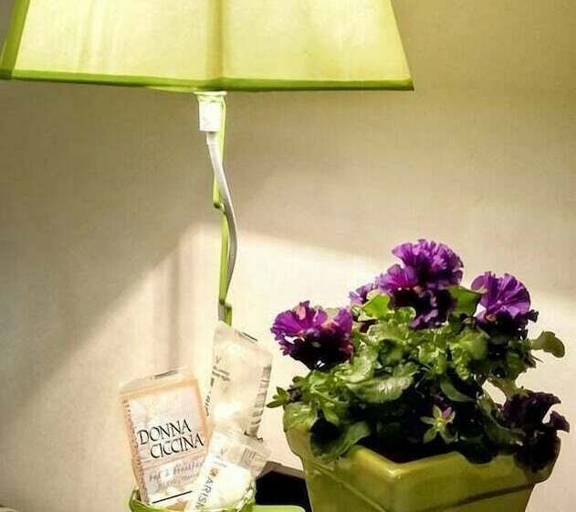 标准三人间, Donnaciccinatrapani