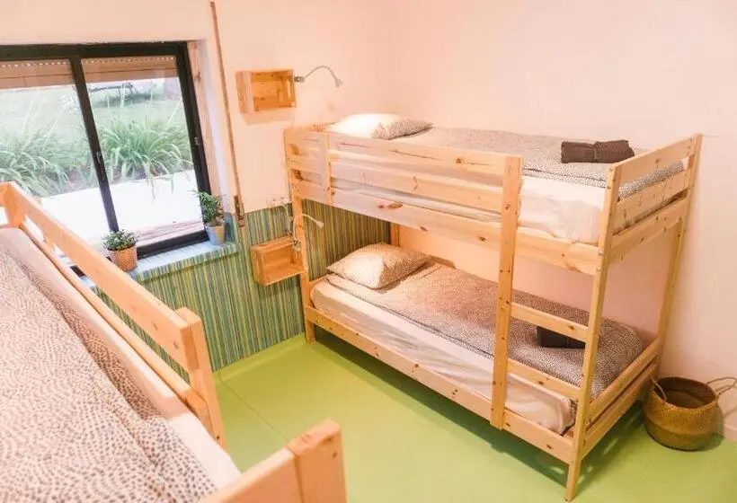 تختخواب در اتاق مشترک, Hospedium Hostel Republica Surf House
