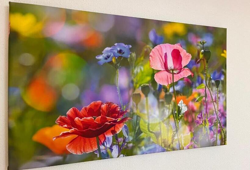 带1个卧室的公寓, Pension Mirabelle