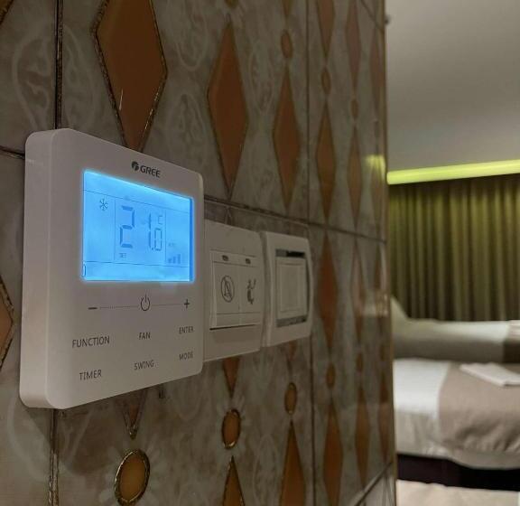 اتاق اکونومی, Mass Paradise