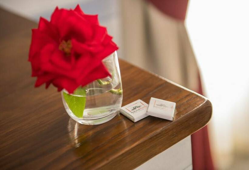 غرفة قياسية, Naturalmente Wine Resort