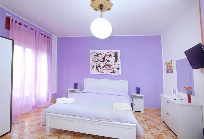 スタンダードルーム, B&b Colors