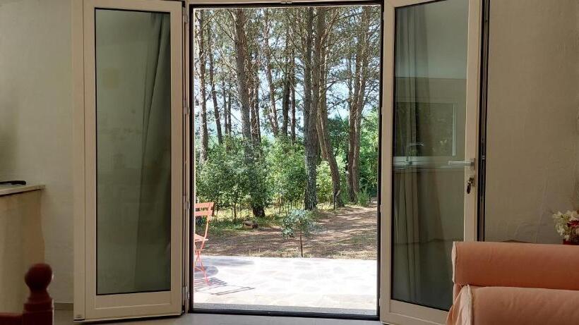 דירת חדר נוף לגינה, Conca Marina