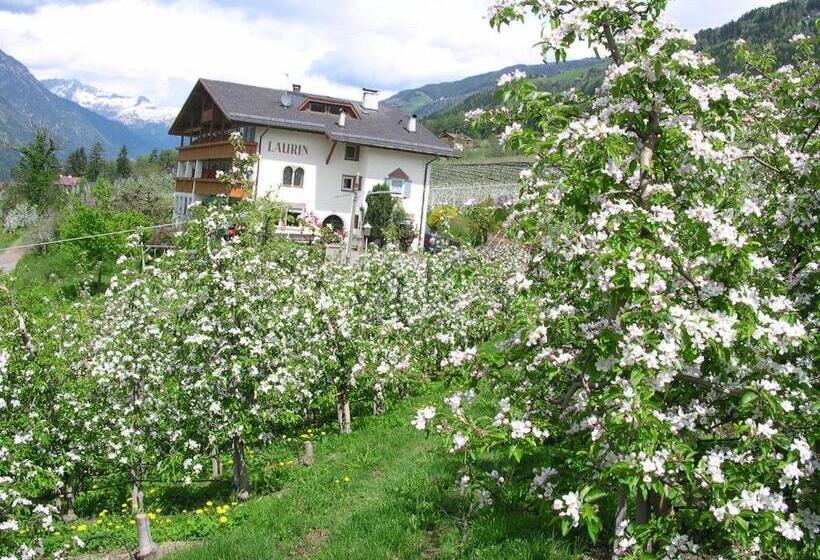 اتاق استاندارد یک نفره, Pension Laurin
