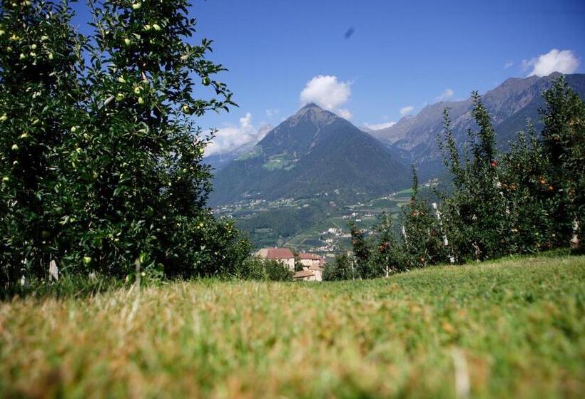اتاق استاندارد, Pension Laurin