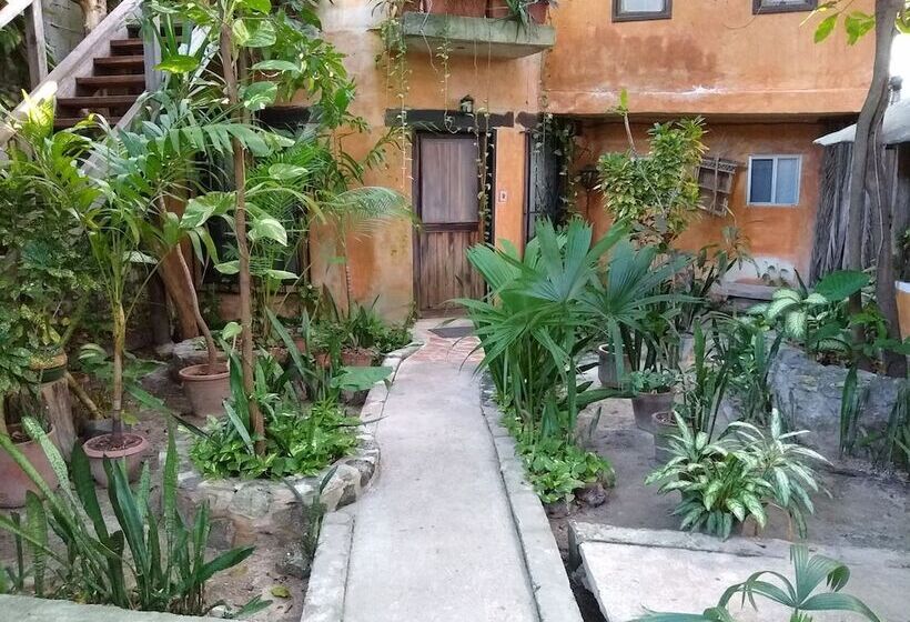 חדר סטנדרט, Casitas Kinsol