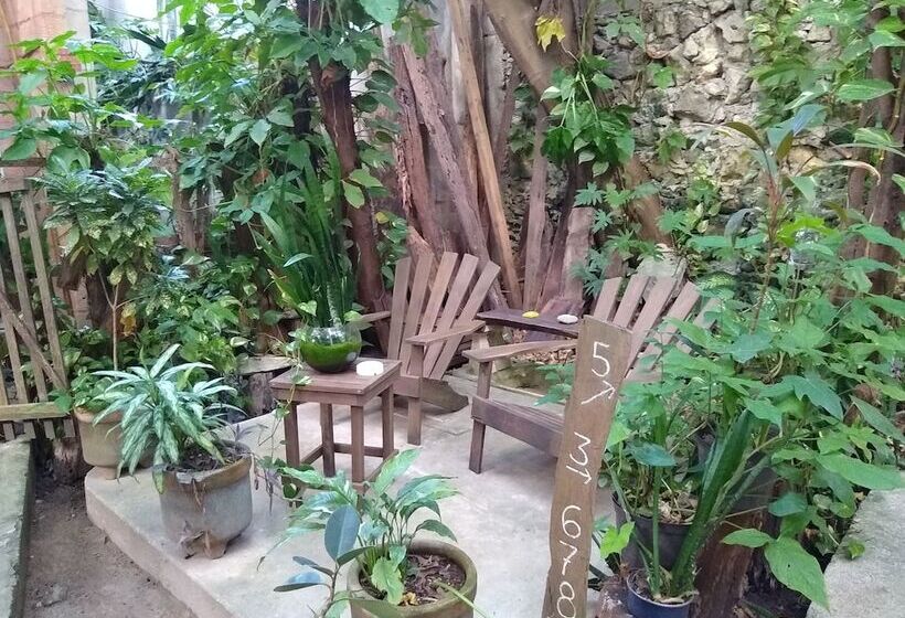 חדר קומפורט, Casitas Kinsol