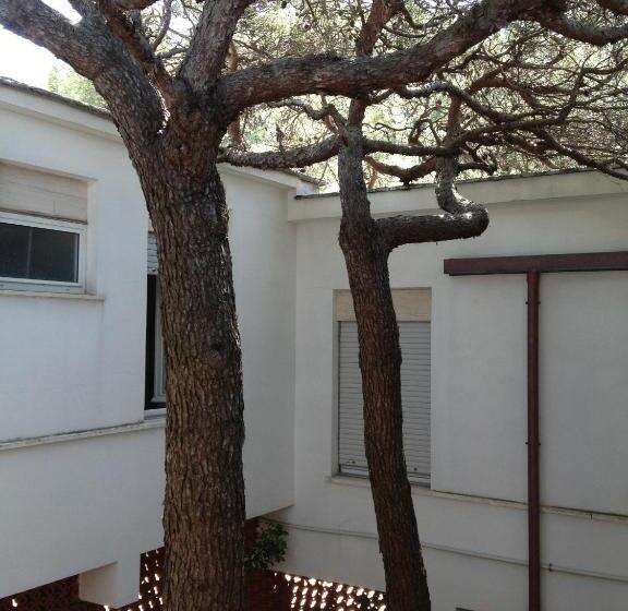 غرفة قياسية, La Scogliera