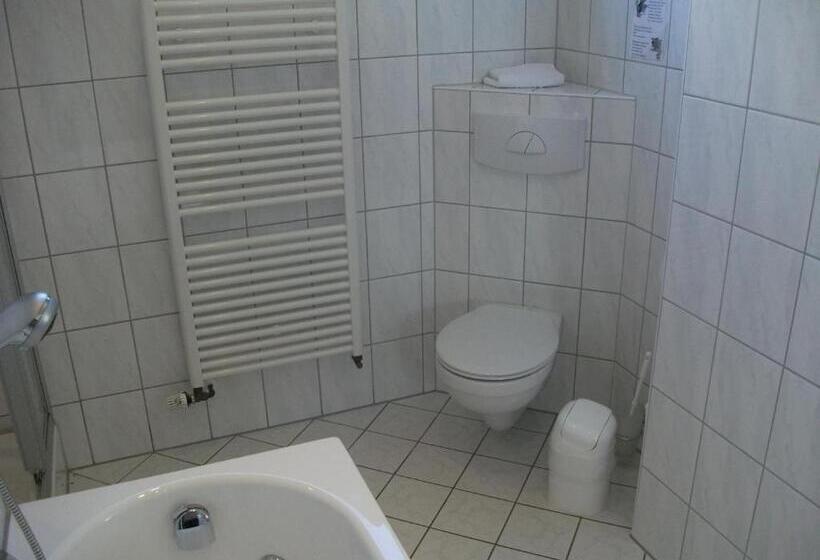 اتاق سوپریور با وان آب گرم, Pension Loose