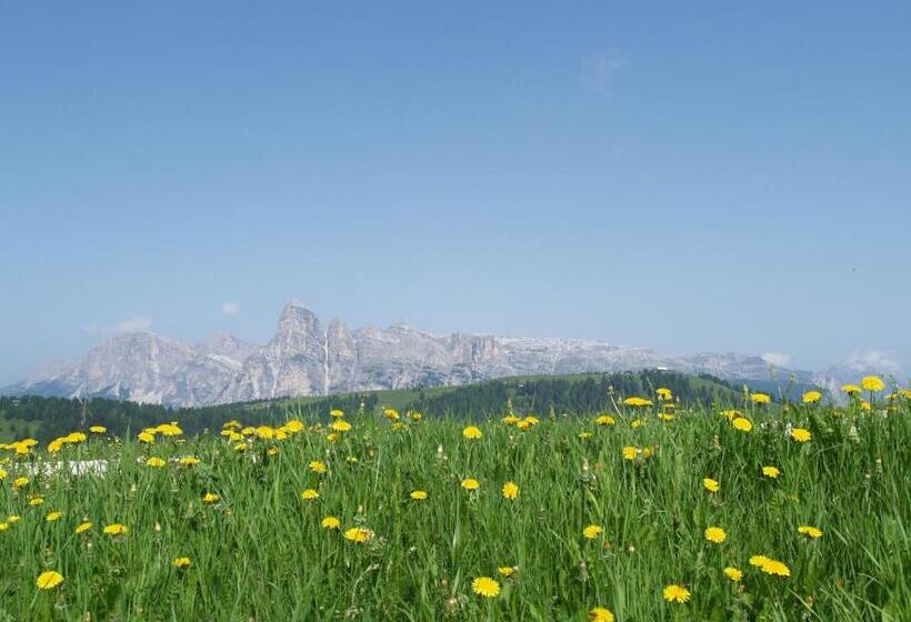 דירת חדר דלוקס, Residence Vajolet San Cassiano