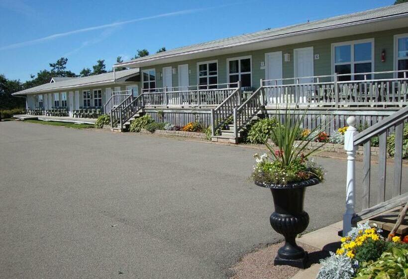 标准间, Bay Vista Motel