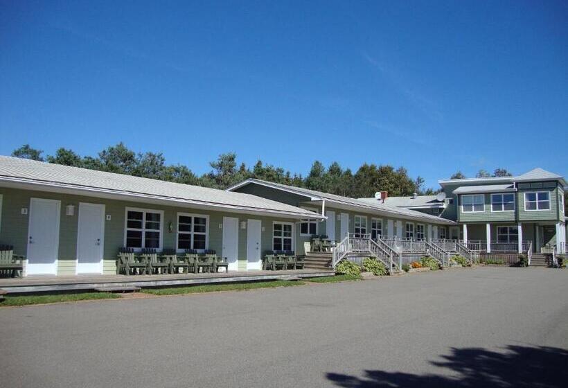 غرفه قياسيه سريرين مزدوجين, Bay Vista Motel