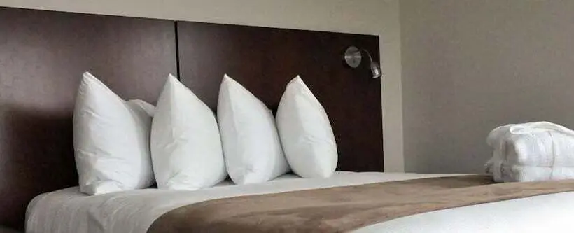 Superior Kamer, Les Trois Soeurs