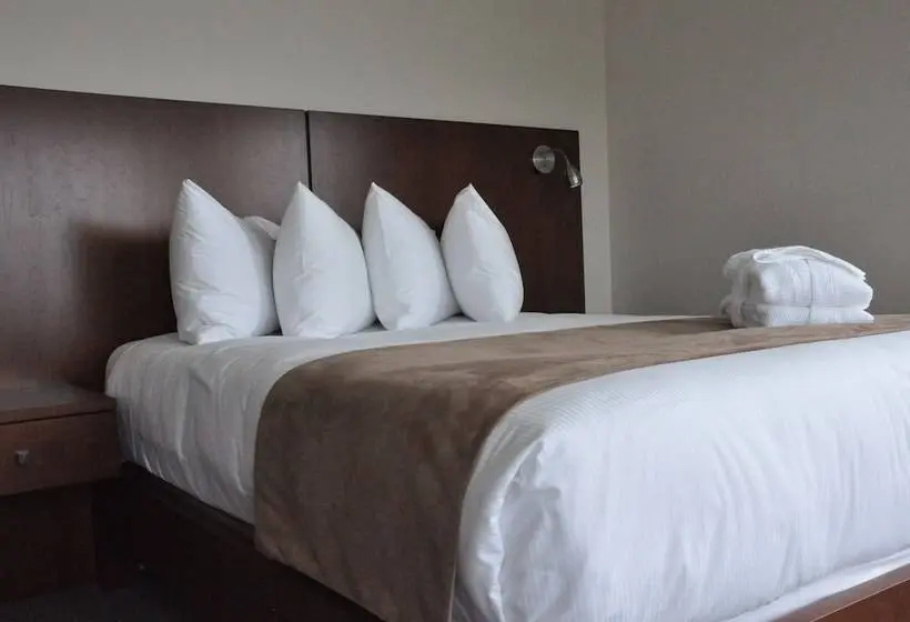 Superior Kamer, Les Trois Soeurs