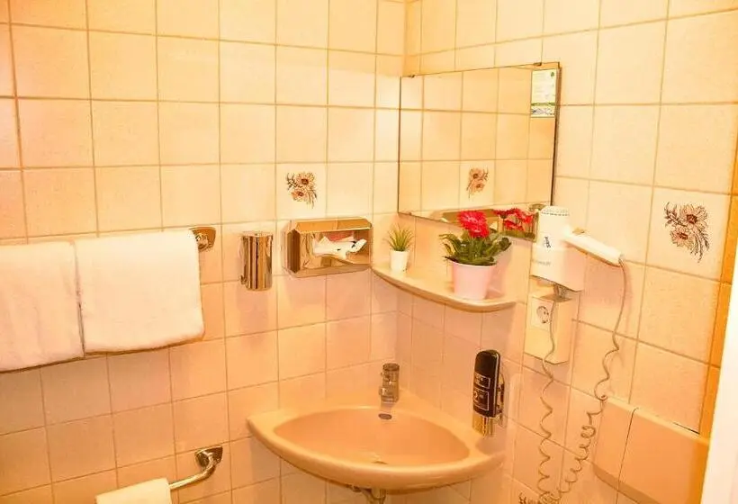 اتاق استاندارد یک نفره, Austria Stuttgartcity
