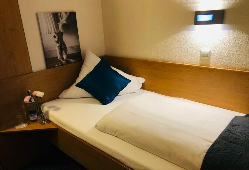 标准单人间, Austria Stuttgartcity