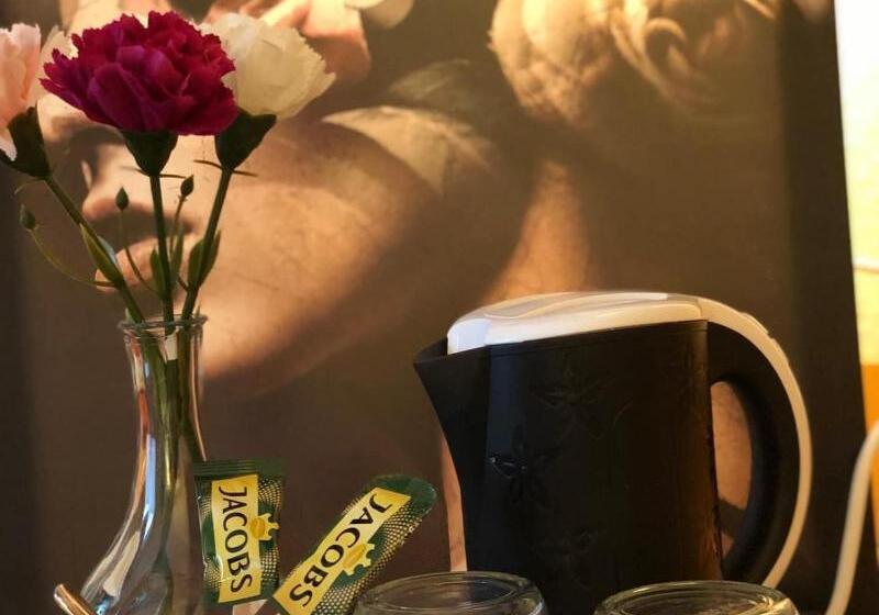 标准单人间, Austria Stuttgartcity