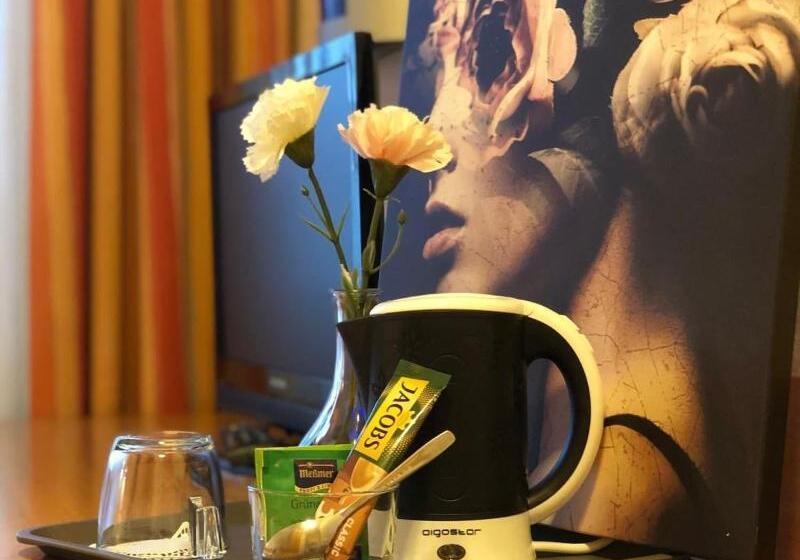 标准单人间, Austria Stuttgartcity