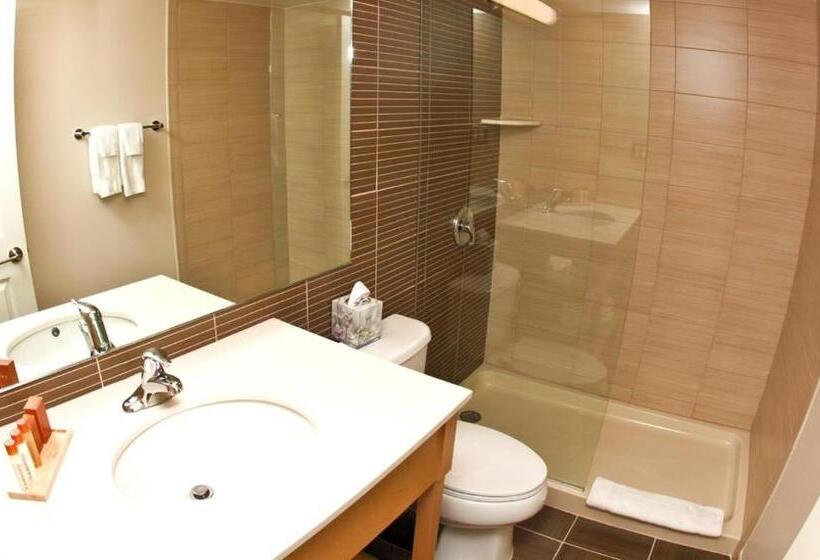 스탠다드 룸 킹사이즈 침대, Ocean Club