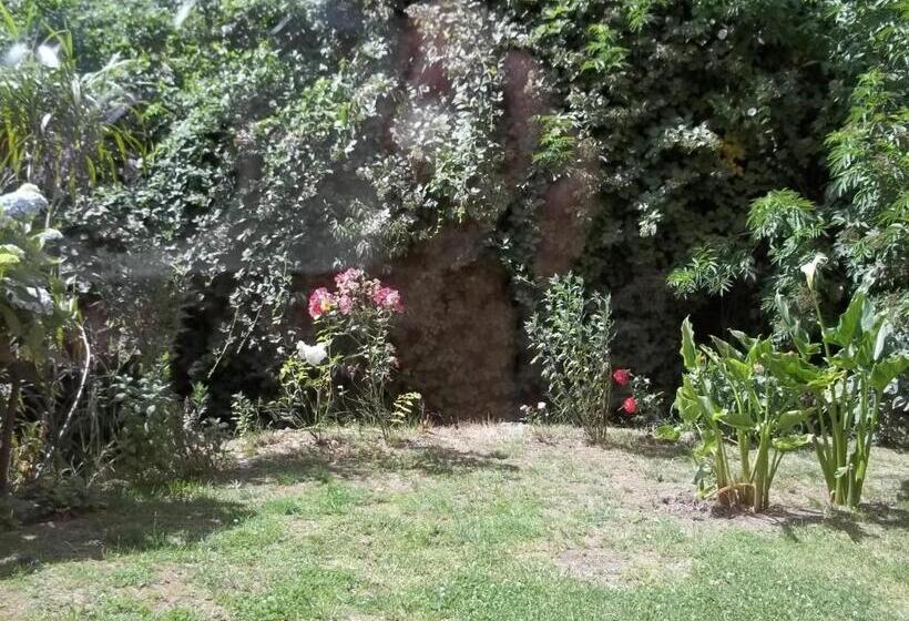 اتاق استاندارد, Omi Kika B&b