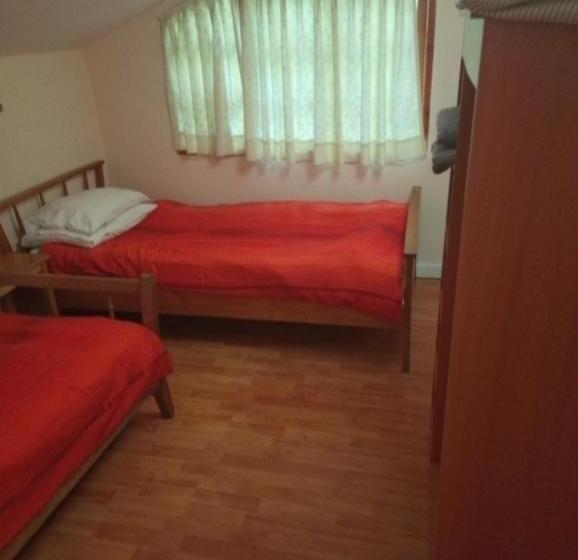 اتاق اکونومی, Omi Kika B&b