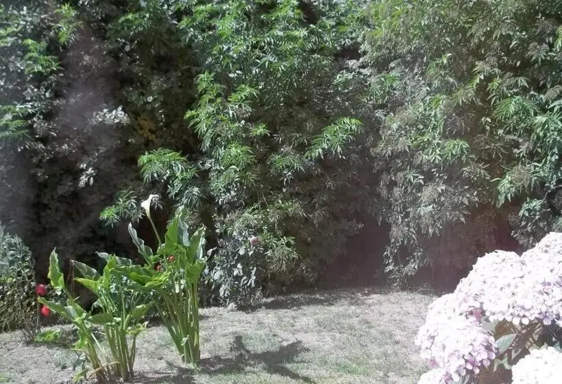آپارتمان 1 خوابه همکف, Omi Kika B&b