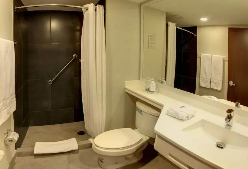 ２ダブルベッドのスタンダードルーム, City Express By Marriott Tampico Altamira