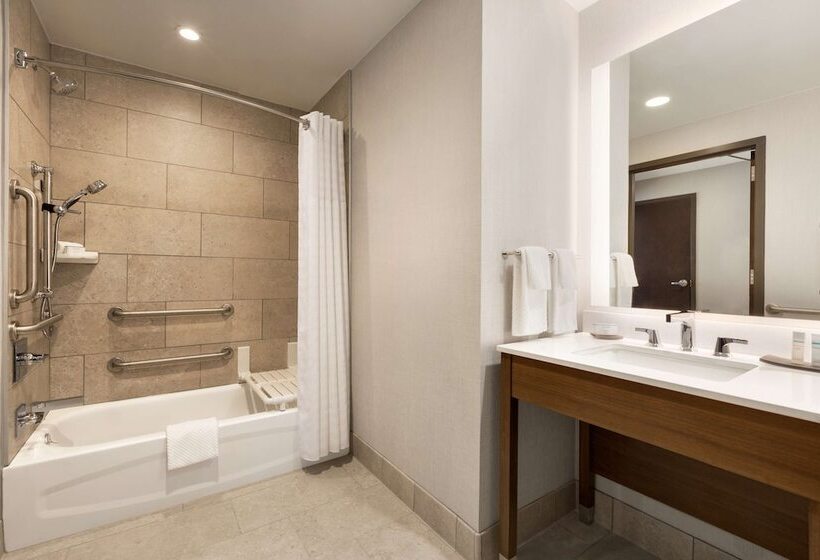 プレミアムスイート, Embassy Suites By Hilton Denton Convention Center