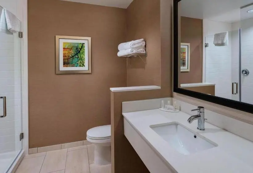 キングサイズベッドのスタンダードルーム, Fairfield Inn & Suites By Marriott Atlanta Peachtree City