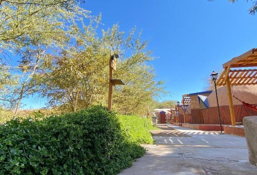 חדר אקונומי, San Pedro Domos