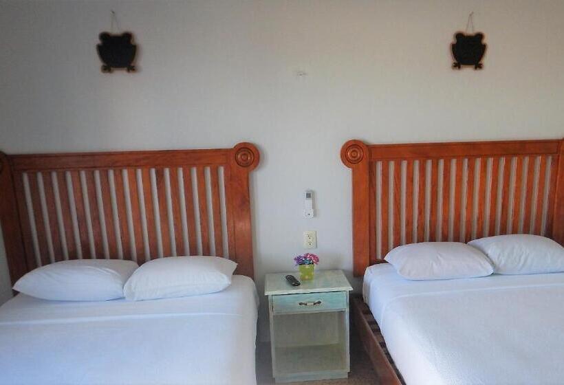 标准间, Blue Coconut Cancun