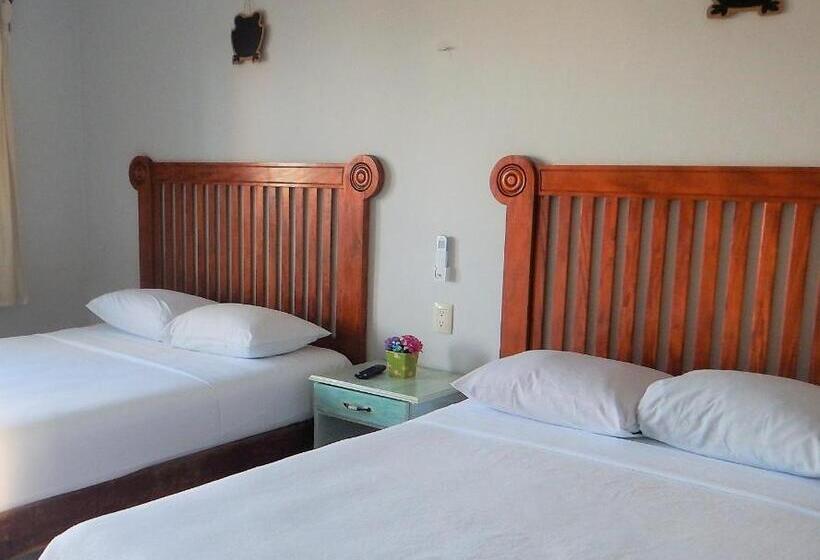 标准间, Blue Coconut Cancun