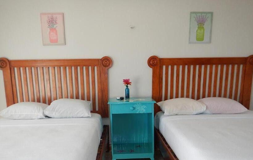 Номер Стандарт, Blue Coconut Cancun