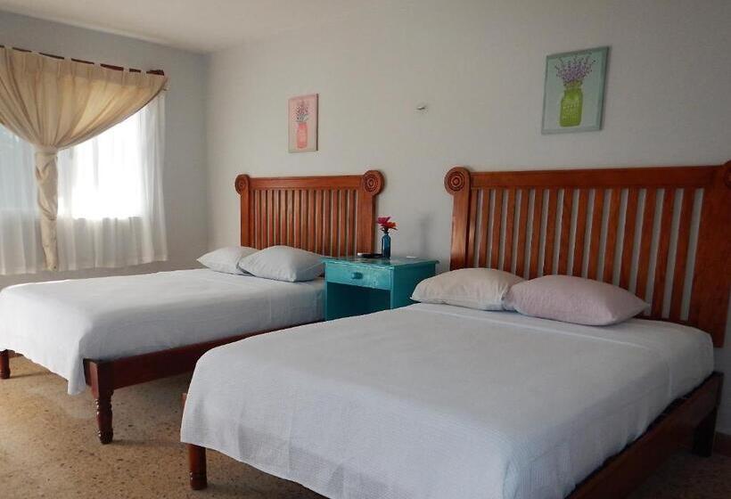 标准间, Blue Coconut Cancun