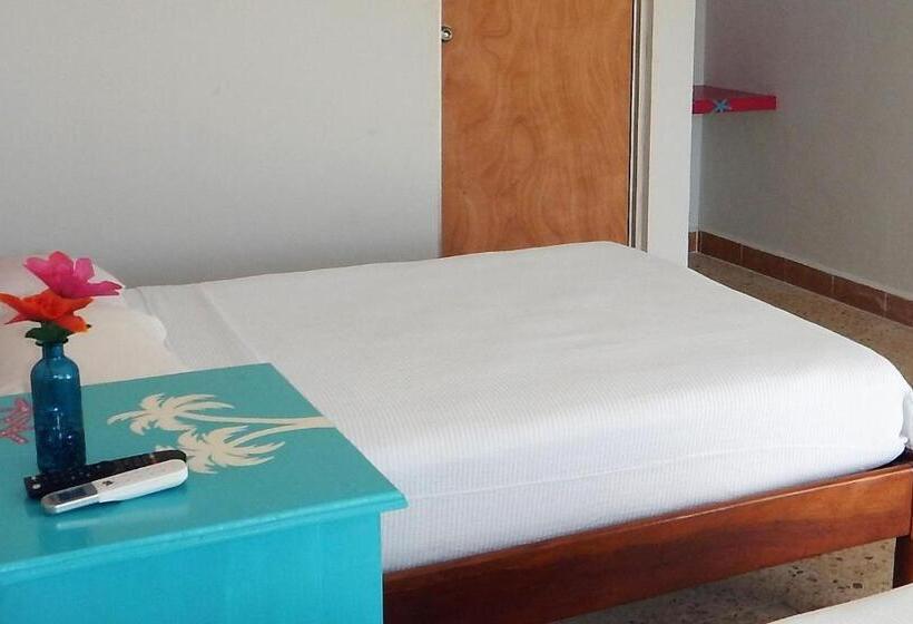 标准间, Blue Coconut Cancun