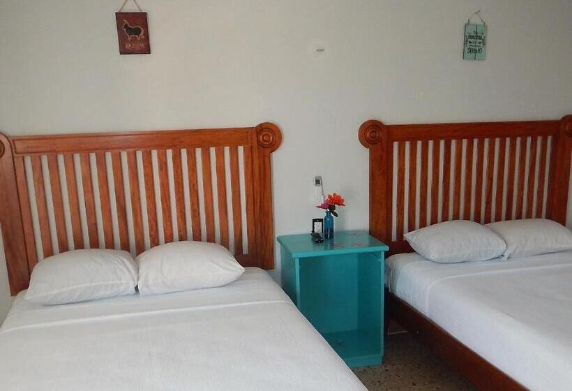 标准间, Blue Coconut Cancun