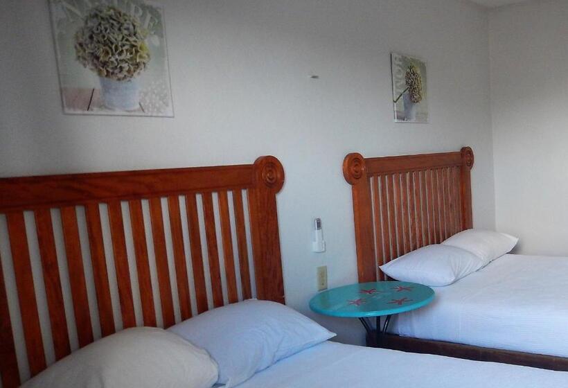 标准间, Blue Coconut Cancun