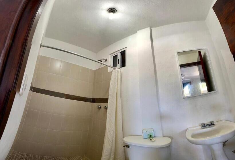 经济房, Blue Coconut Cancun