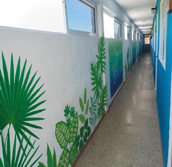 经济房, Blue Coconut Cancun