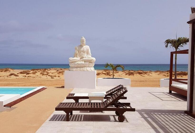 اتاق استاندارد با تراس و چشم‌انداز دریا, Livvo Budha Beach