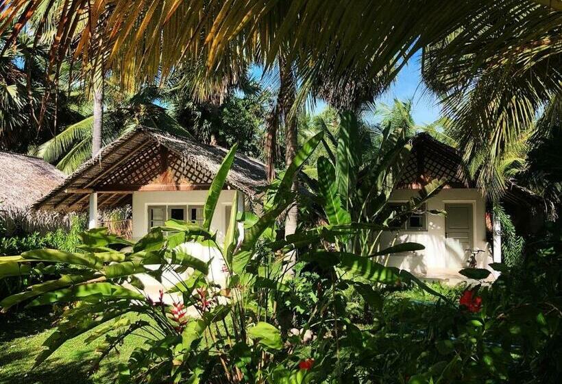 חדר דלוקס, The Rascals Kite Resort