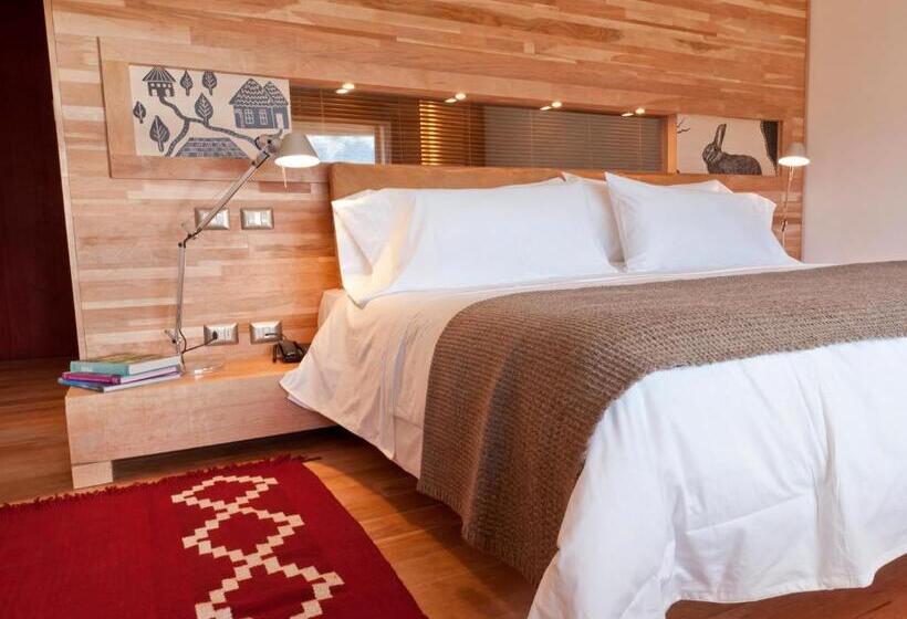 اتاق استاندارد یک نفره, Tierra Patagonia