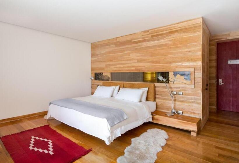 اتاق استاندارد یک نفره, Tierra Patagonia